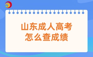山東成人高考怎么查成績